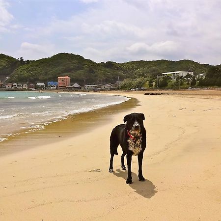 Hareya Hotel ชิโมดะ ภายนอก รูปภาพ