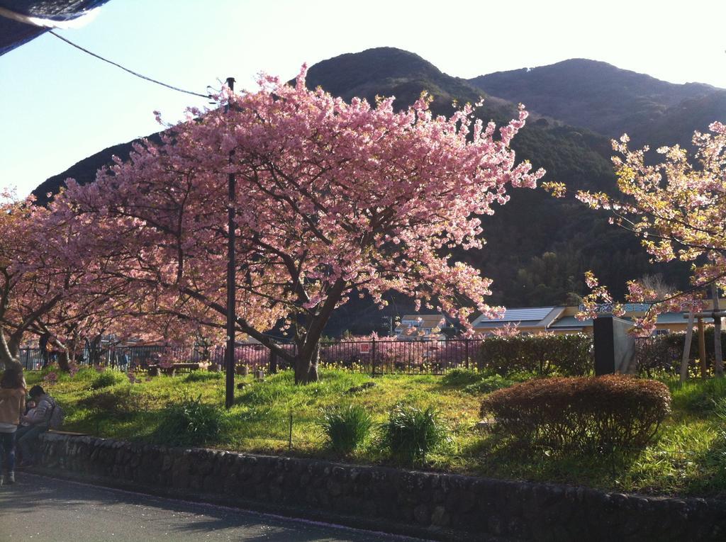 Hareya Hotel ชิโมดะ ภายนอก รูปภาพ