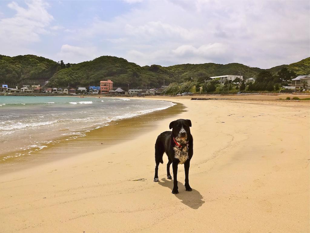 Hareya Hotel ชิโมดะ ภายนอก รูปภาพ